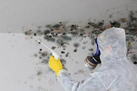 Mold Removal for HVAC Installations in Sausalito, CA